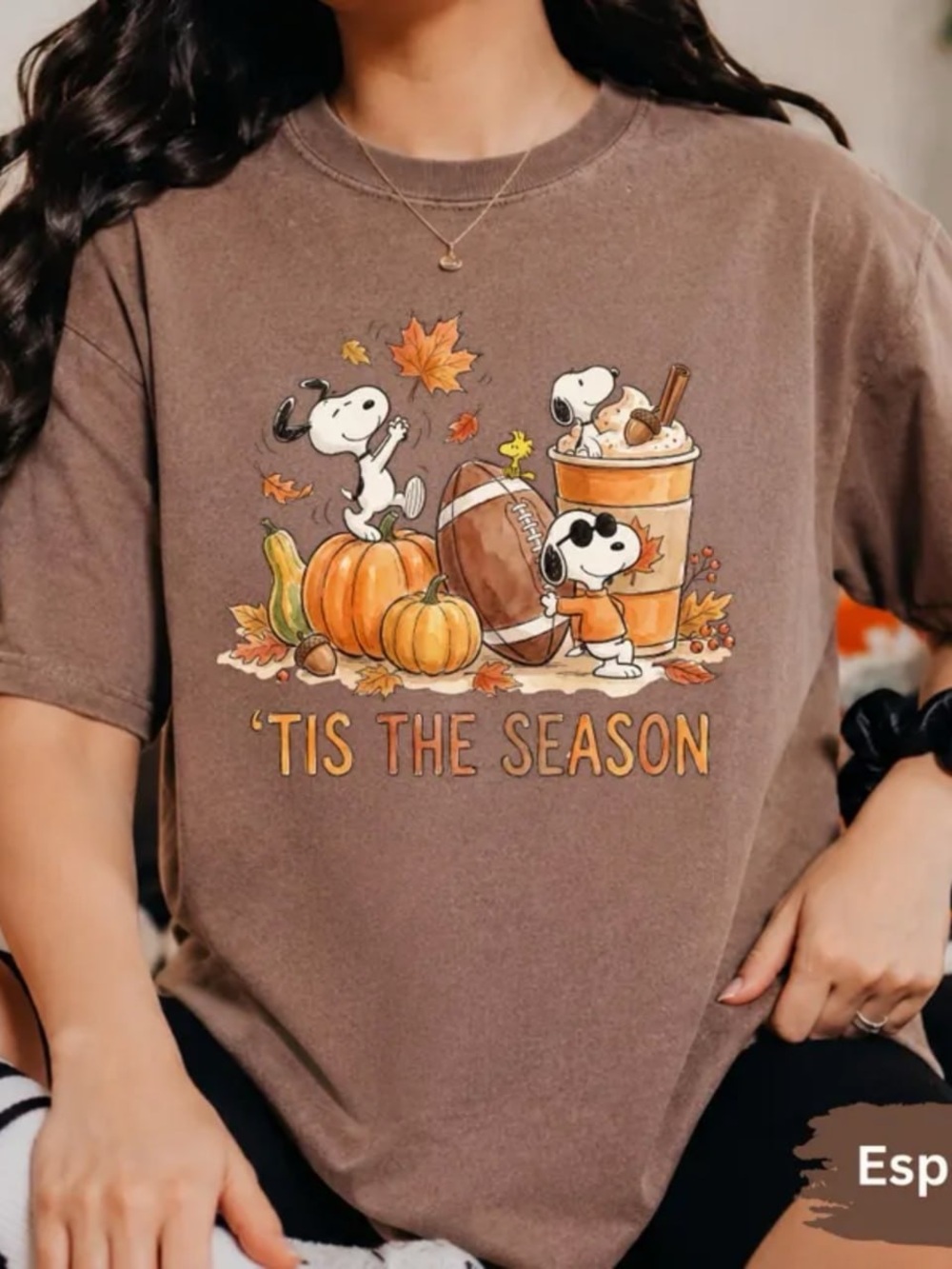 Comfort Colors Espresso Tis The Season Dog Graphic Tee